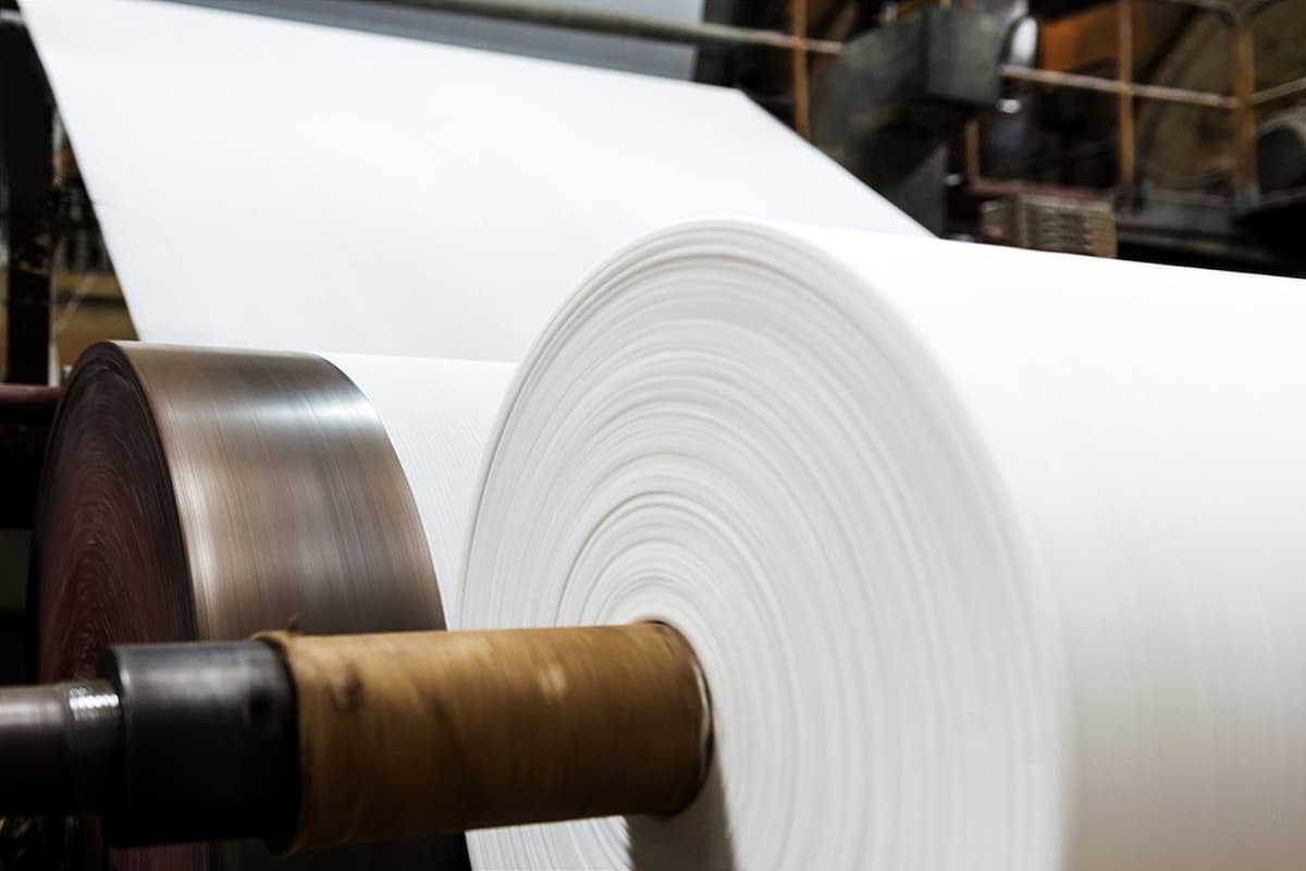 Pulp & Paper